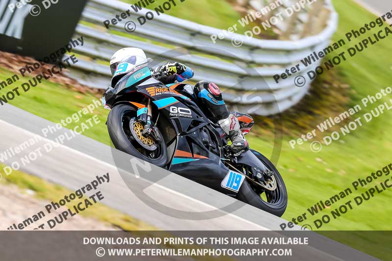 Oulton Park 21st March 2020;PJ Motorsport Photography 2020;anglesey;brands hatch;cadwell park;croft;donington park;enduro digital images;event digital images;eventdigitalimages;mallory;no limits;oulton park;peter wileman photography;racing digital images;silverstone;snetterton;trackday digital images;trackday photos;vmcc banbury run;welsh 2 day enduro